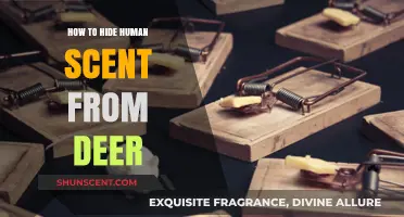 Mastering Stealth: Effective Techniques to Conceal Human Scent from Deer