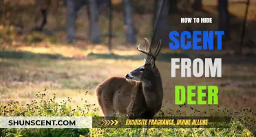 Mastering Stealth: Effective Techniques to Conceal Your Scent from Deer