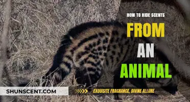 Effective Strategies to Conceal Scents and Stay Undetected by Animals