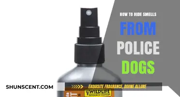 Fooling Fido: Techniques to Mask Scents from Police Dogs