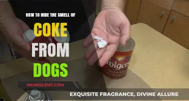 Foolproof Ways to Keep Your Pup's Nose Out of Your Coke Business