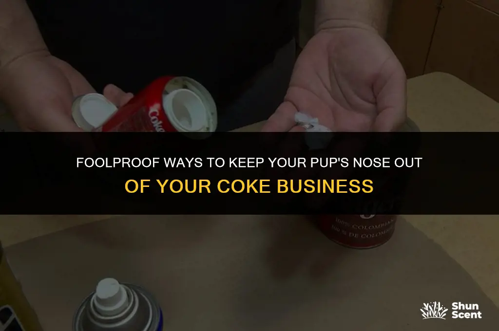 how to hide the smell of coke from dogs