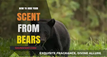 Stealth in the Wild: Effective Ways to Mask Your Scent from Bears