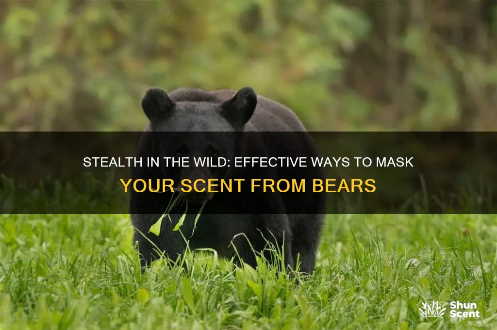 how to hide your scent from bears