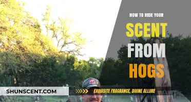 Effective Strategies to Conceal Your Scent from Wild Hogs