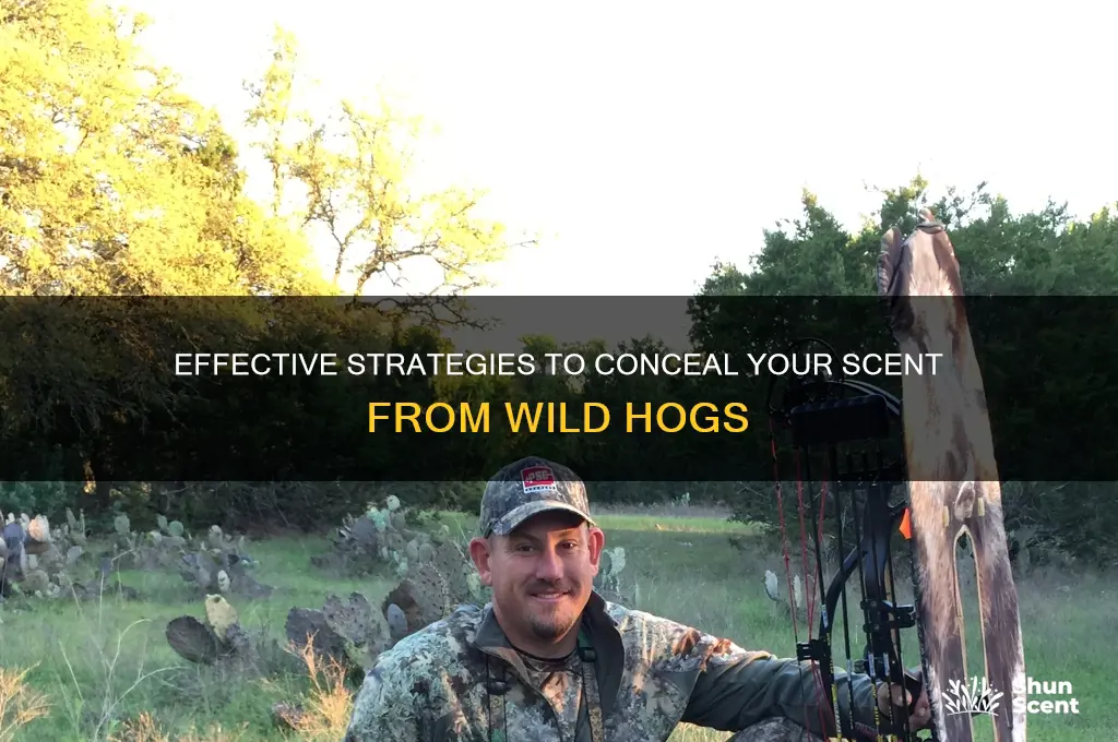 how to hide your scent from hogs