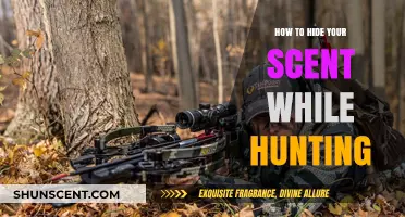 Mastering Stealth: Proven Techniques to Hide Your Scent While Hunting