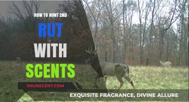 Mastering the Second Rut: Effective Deer Hunting Scents and Strategies