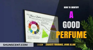 The Art of Choosing a Perfect Perfume