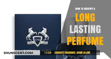 Guide to Choosing Long-Lasting Fragrances