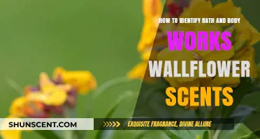 Mastering the Art of Identifying Bath & Body Works Wallflower Scents