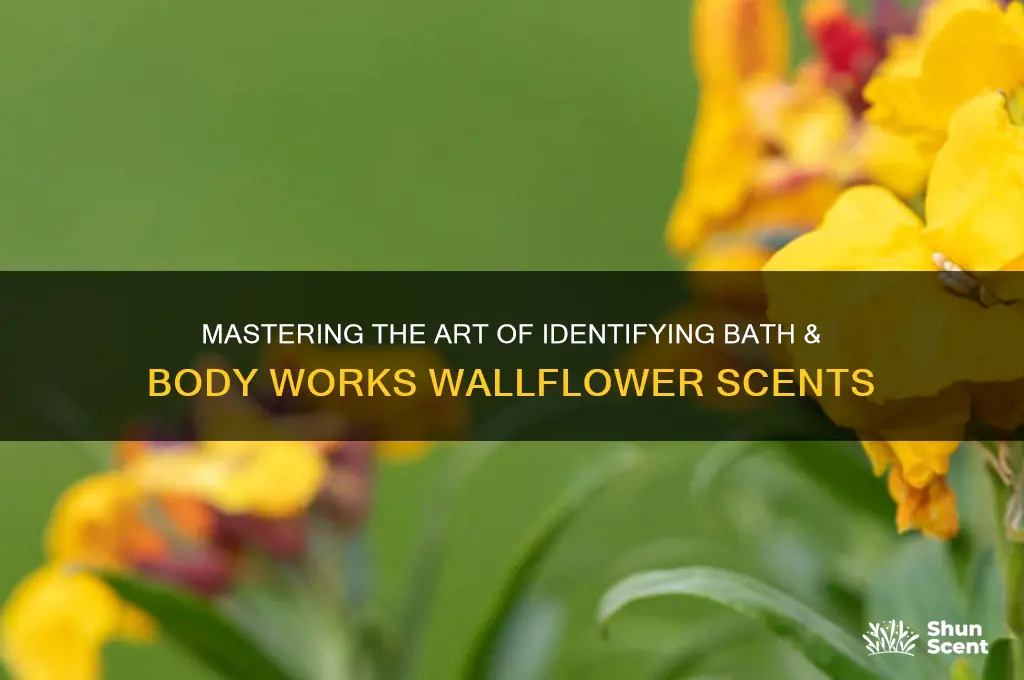 how to identify bath and body works wallflower scents
