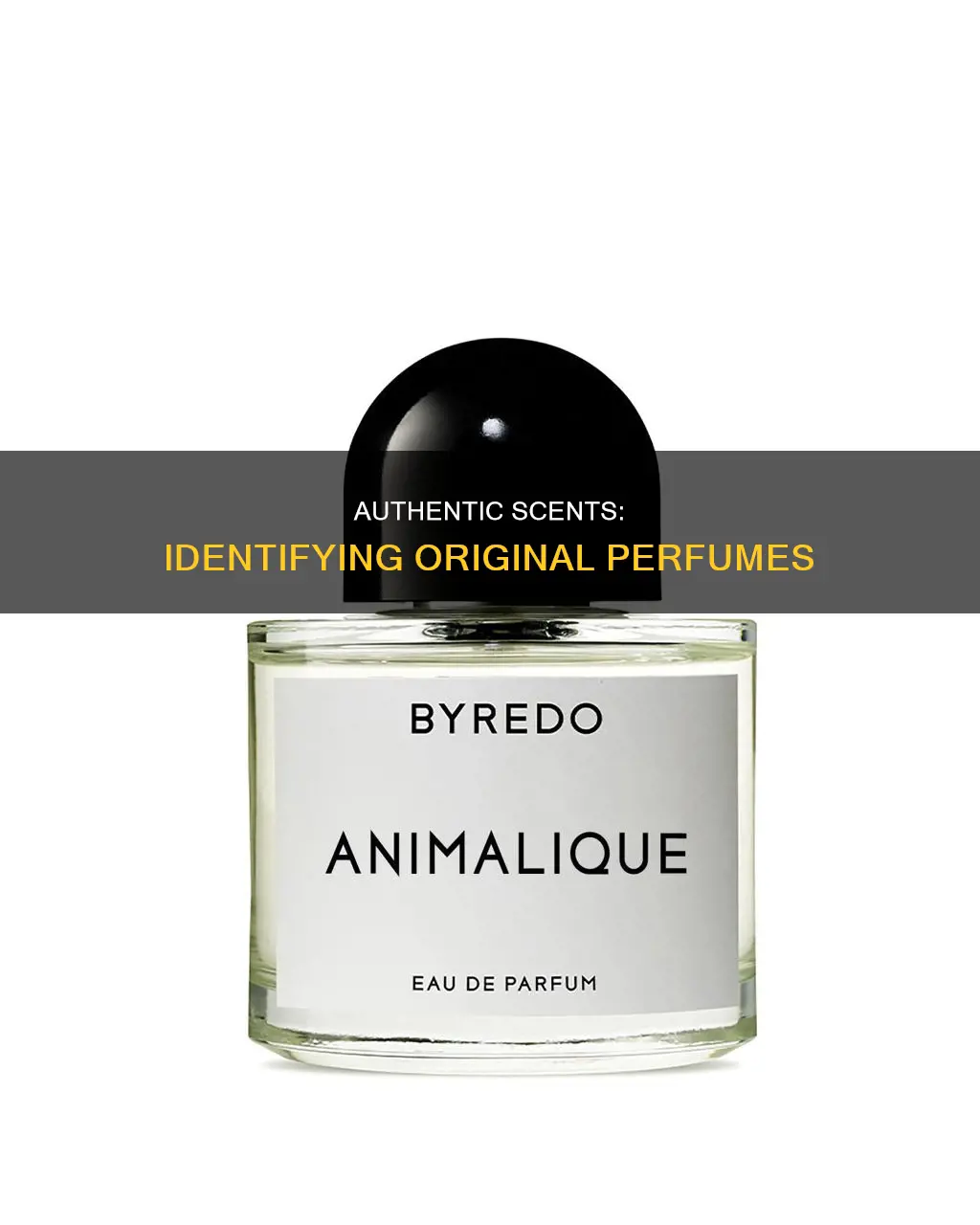 how to identify original perfume