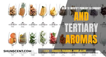 Unraveling the Art of Wine Aromas: Primary, Secondary, Tertiary