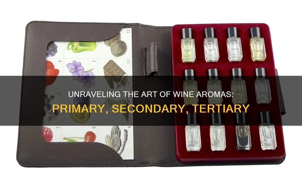 how to identify primary secondary and tertiary aromas