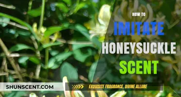 Crafting the Sweet Aroma: How to Imitate Honeysuckle Scent