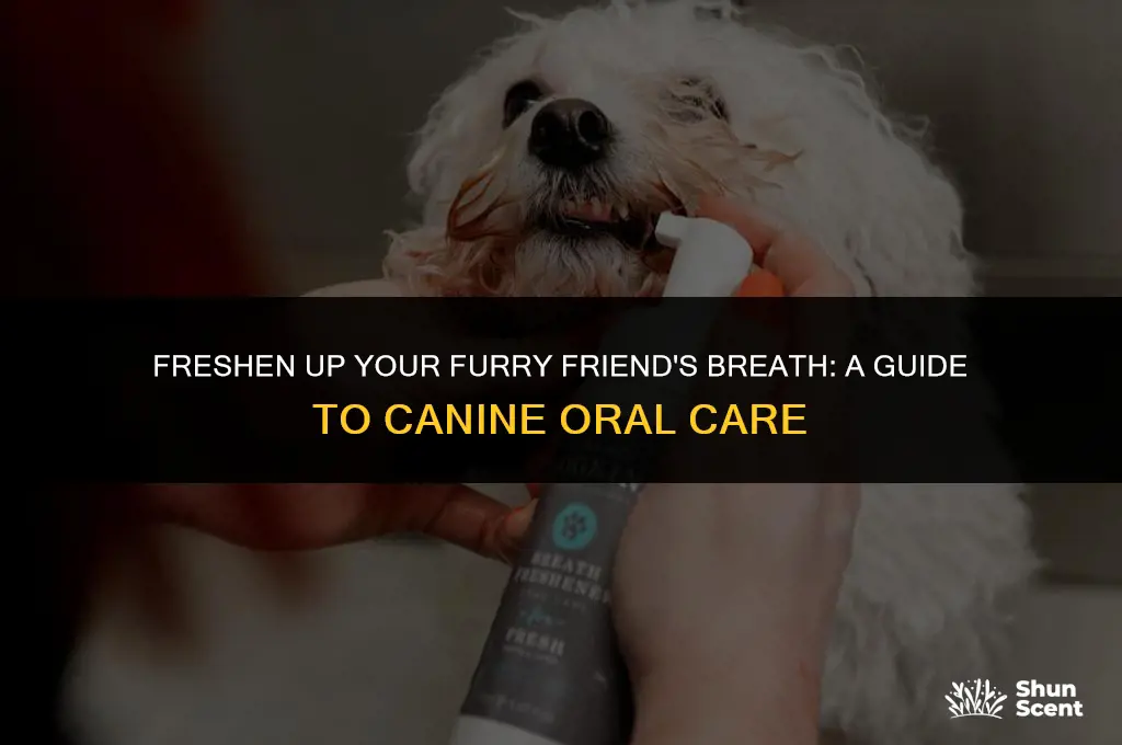 how to imprive the smell of your dogs breath