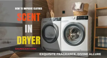 Enhance Your Laundry: Simple Tips for Fresher-Smelling Clothes in the Dryer