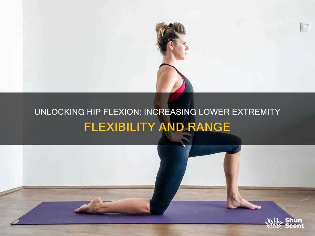 how to increase arom of lower extremity hip flexion