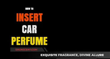 The Right Way to Insert Car Perfume