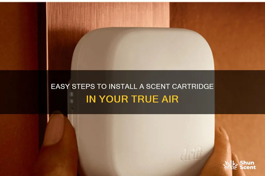 how to install a scent cartridge in true air