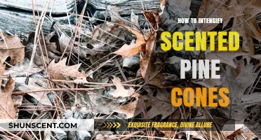 Enhance Your Home's Aroma: Intensifying Scented Pine Cones Made Easy