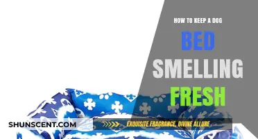 Pawsitively Fresh: Tips to Keep Your Dog's Bed Odor-Free