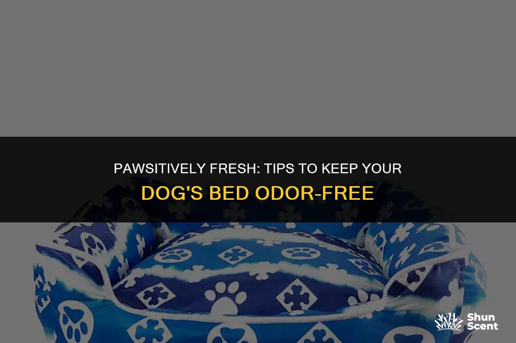 how to keep a dog bed smelling fresh