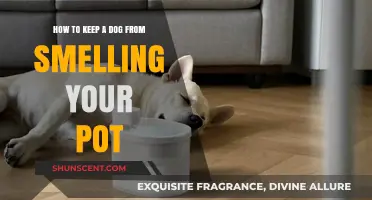 Pot Smell Prevention: A Guide for Dog Owners