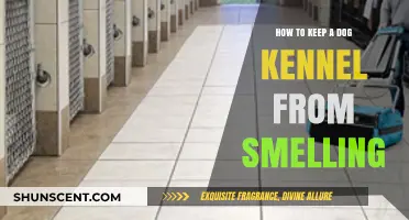 Fresh and Clean: Tips to Keep Your Dog Kennel Odor-Free