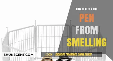 Fresh Air for Fido: Tips to Keep Your Dog Pen Odor-Free
