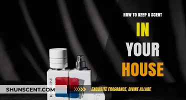 Freshen Your Home: Simple Tips to Keep Scents Lingering Longer