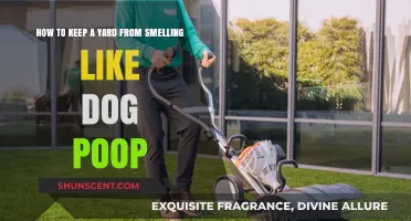 Freshen Up Your Yard: Tips to Eliminate Dog Poop Odor