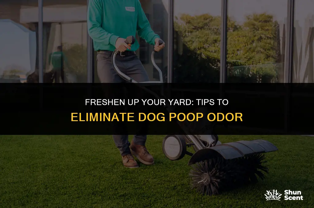 how to keep a yard from smelling like dog poop