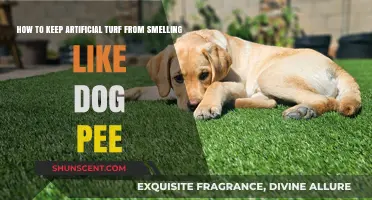 Freshen Up Your Lawn: Tips to Neutralize Dog Odor on Artificial Turf