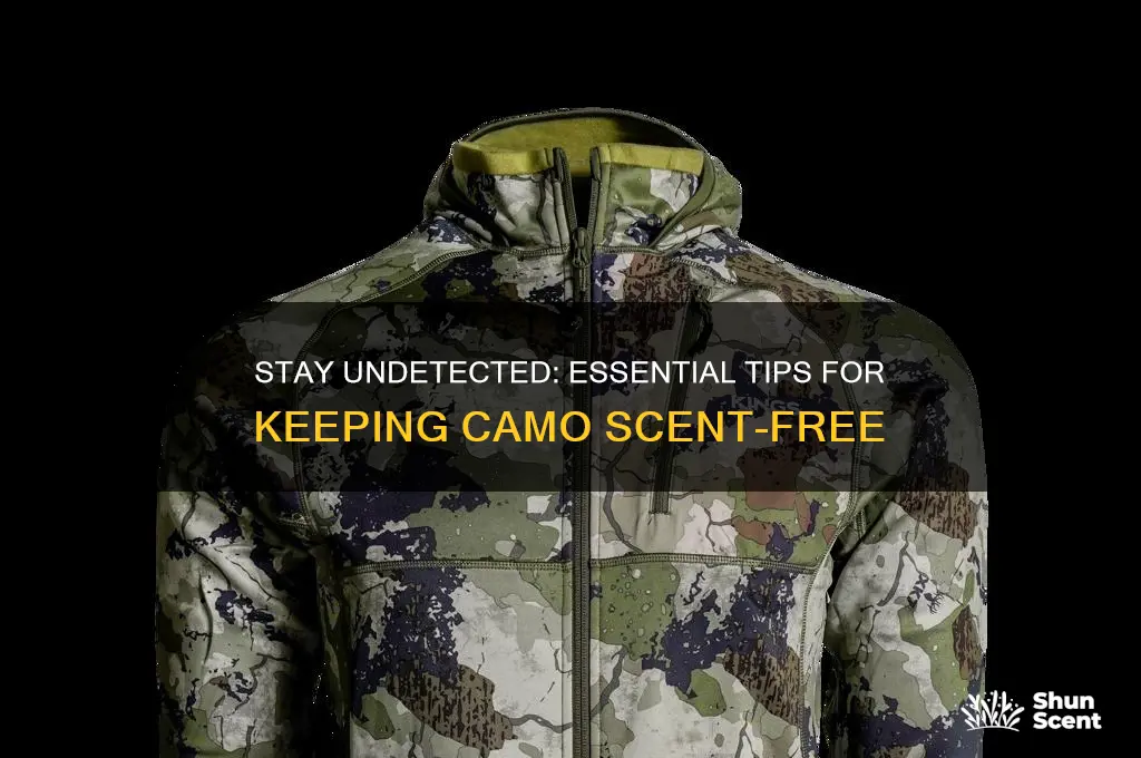 how to keep camo scent free