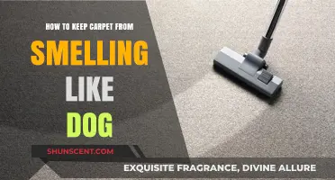 Freshen Up Your Home: Tips to Eliminate Dog Odor from Carpets