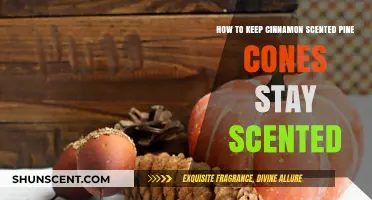 Preserve Cinnamon Pine Cone Fragrance: Simple Tips for Lasting Scent