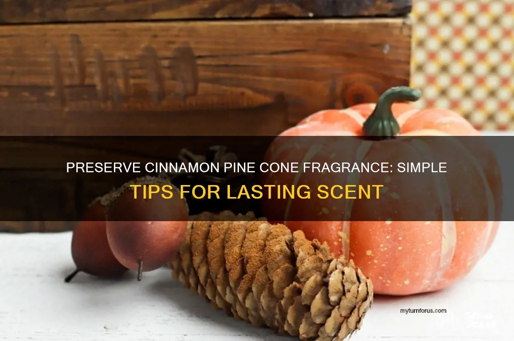 how to keep cinnamon scented pine cones stay scented