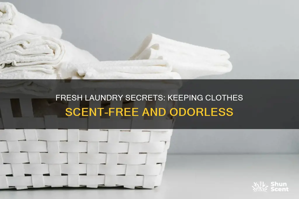 how to keep clothes scent free