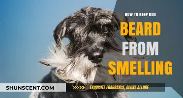 Freshen Up Your Pup's Beard: A Guide to Odor-Free Grooming
