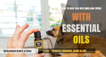 Freshen Up Your Pup's Resting Spot: Essential Oils for a Clean Dog Bed