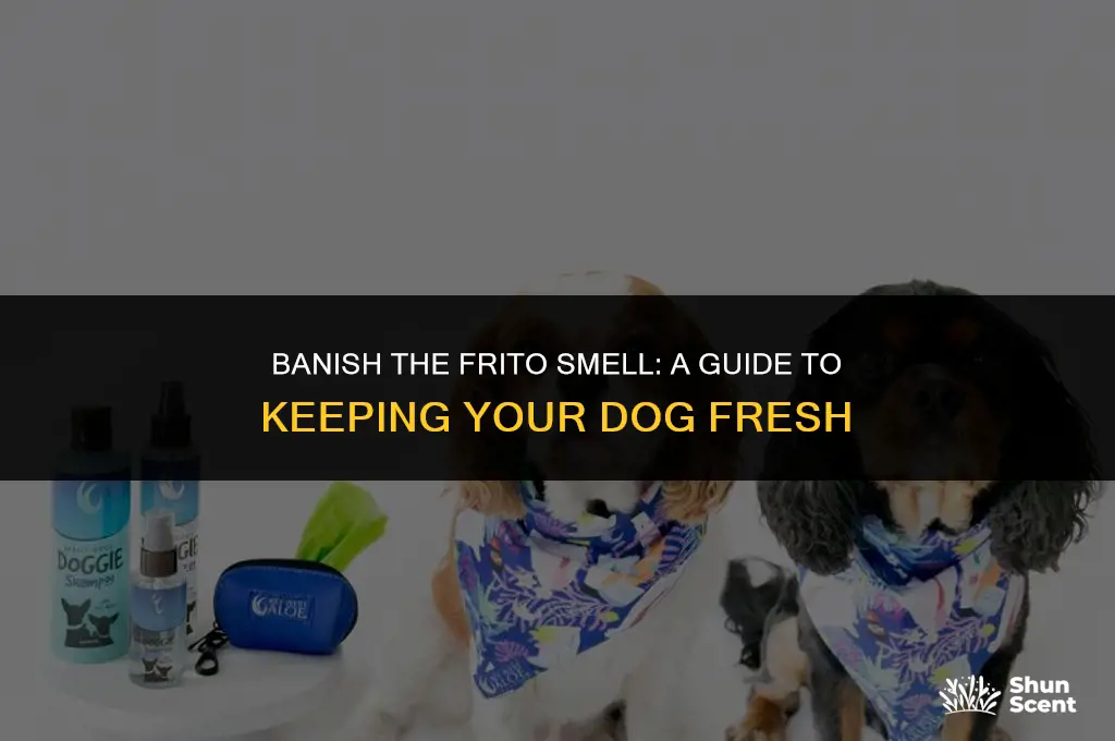 how to keep dog from smelling like fritos
