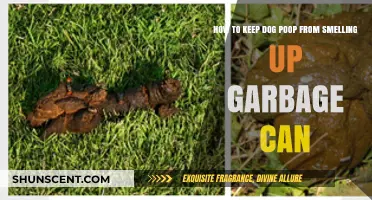 Effective Tips to Minimize Dog Poop Odor in Your Trash Can