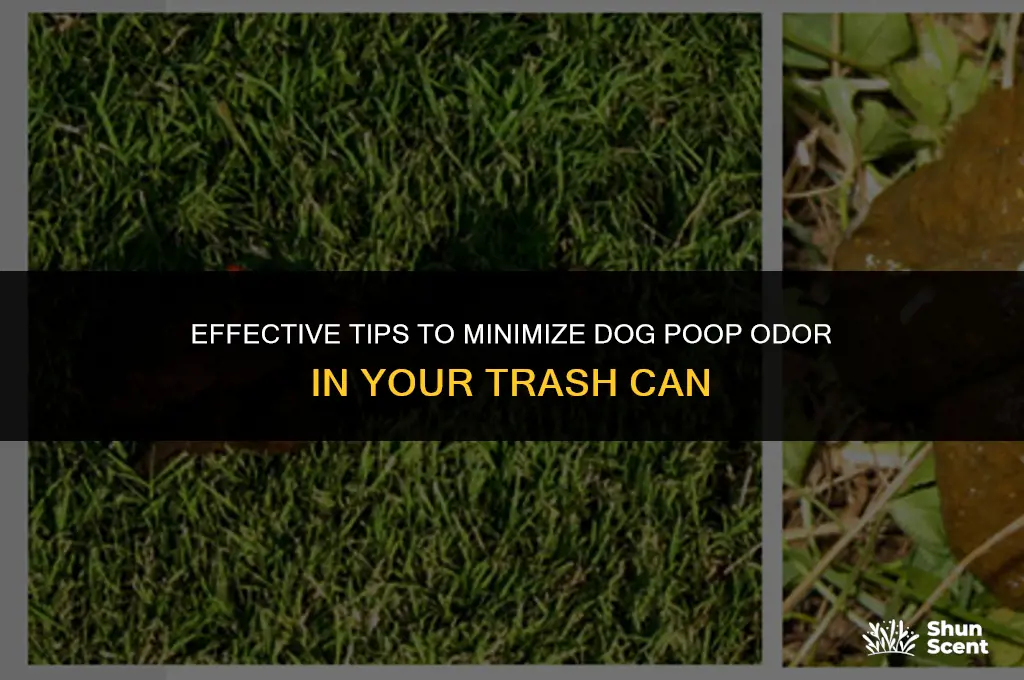 how to keep dog poop from smelling up garbage can