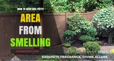 Effective Tips to Keep Your Dog's Potty Area Odor-Free