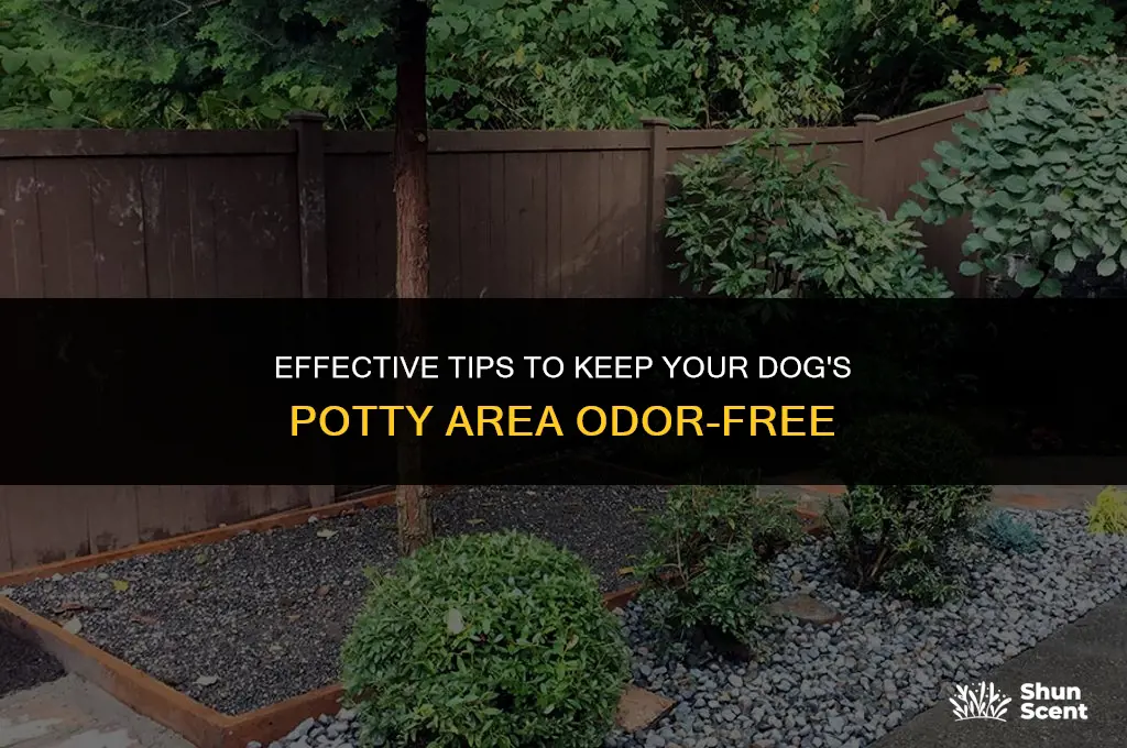 how to keep dog potty area from smelling