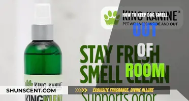Freshen Up: Effective Tips to Keep Dog Smell Out of Your Room