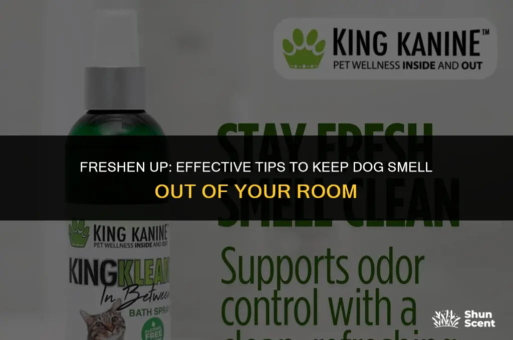 how to keep dog smell out of room