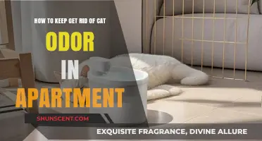 Freshen Up Your Home: A Guide to Eliminating Cat Odor in Apartments